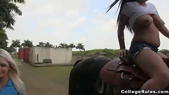Group Sex With College Chicks Who Love To Suck And Fuck